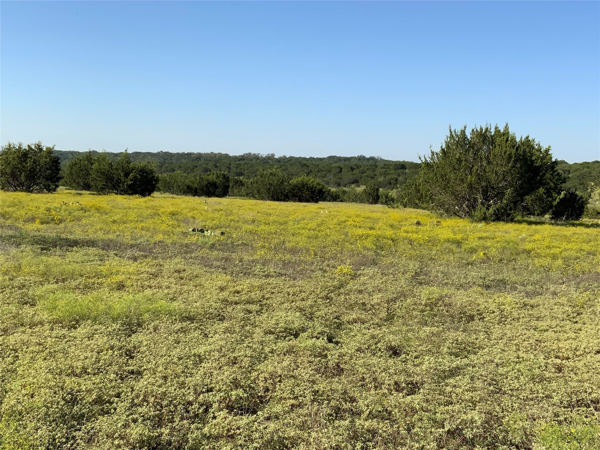 723 acres in Comanche County - photo 21