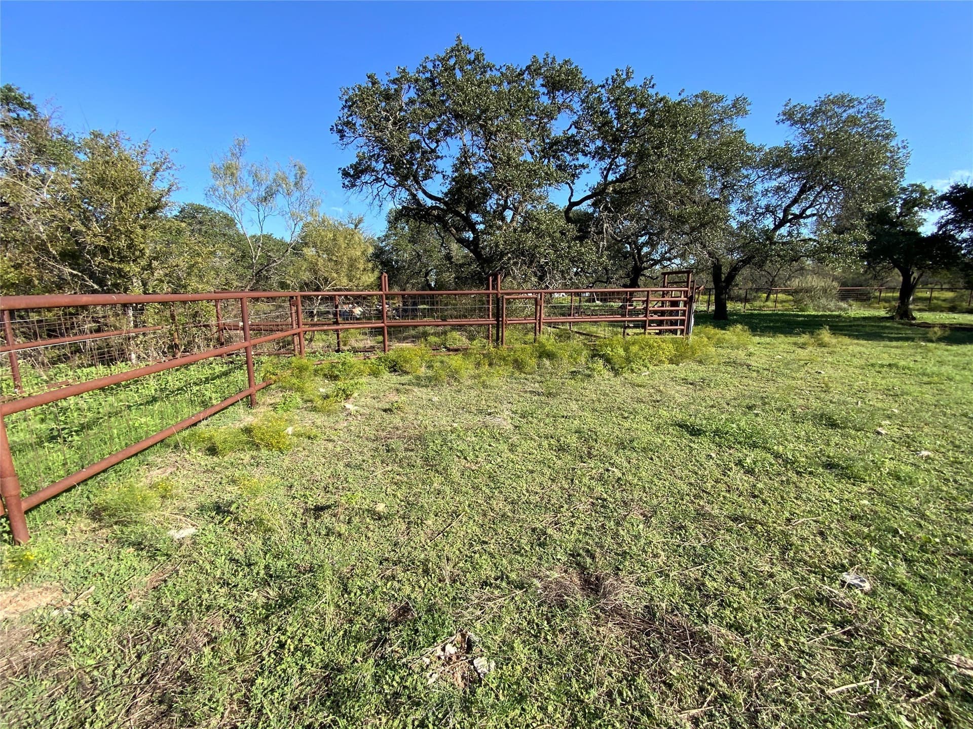 723 acres in Comanche County - photo 17