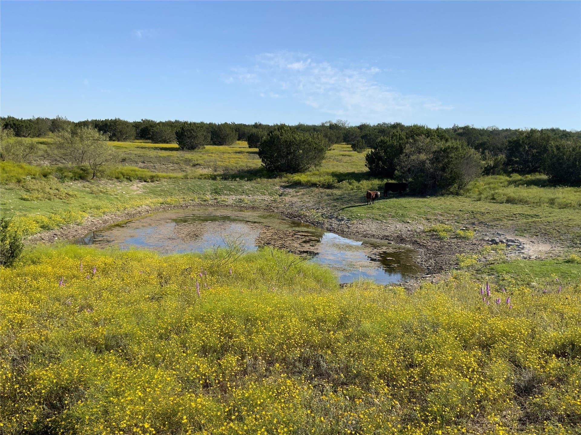 723 acres in Comanche County - photo 19