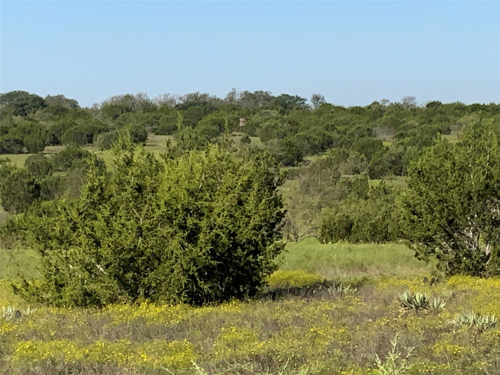 723 acres in Comanche County - photo 22