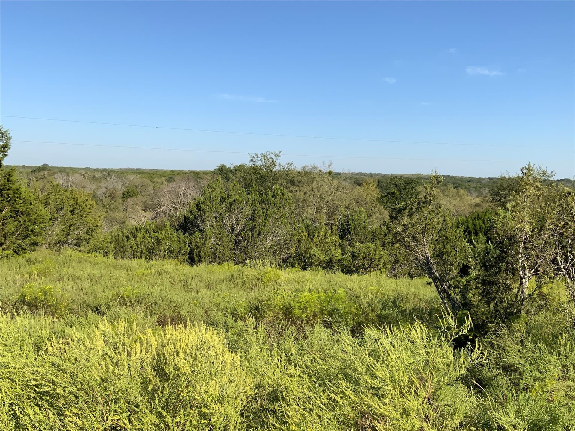 723 acres in Comanche County - photo 18