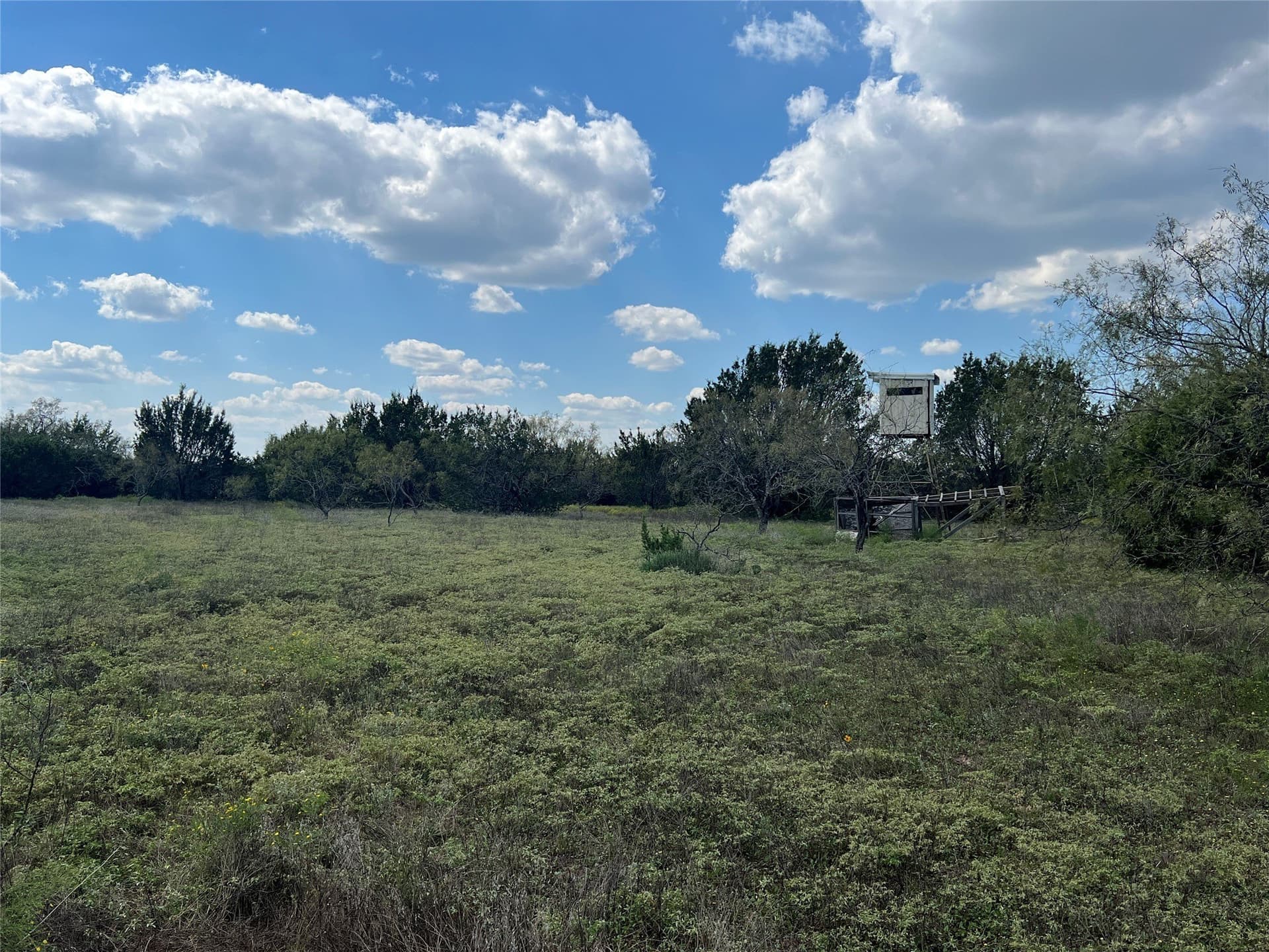 723 acres in Comanche County - photo 34