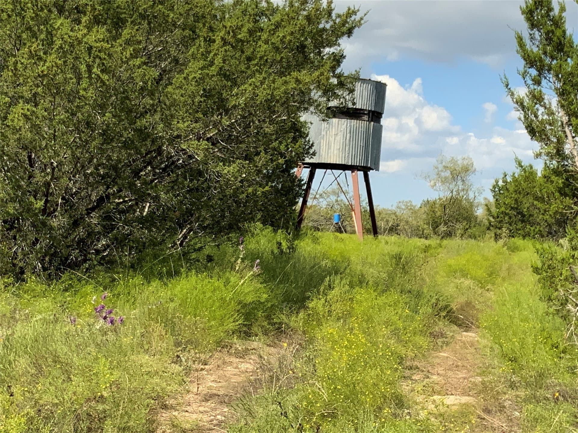 723 acres in Comanche County - photo 30