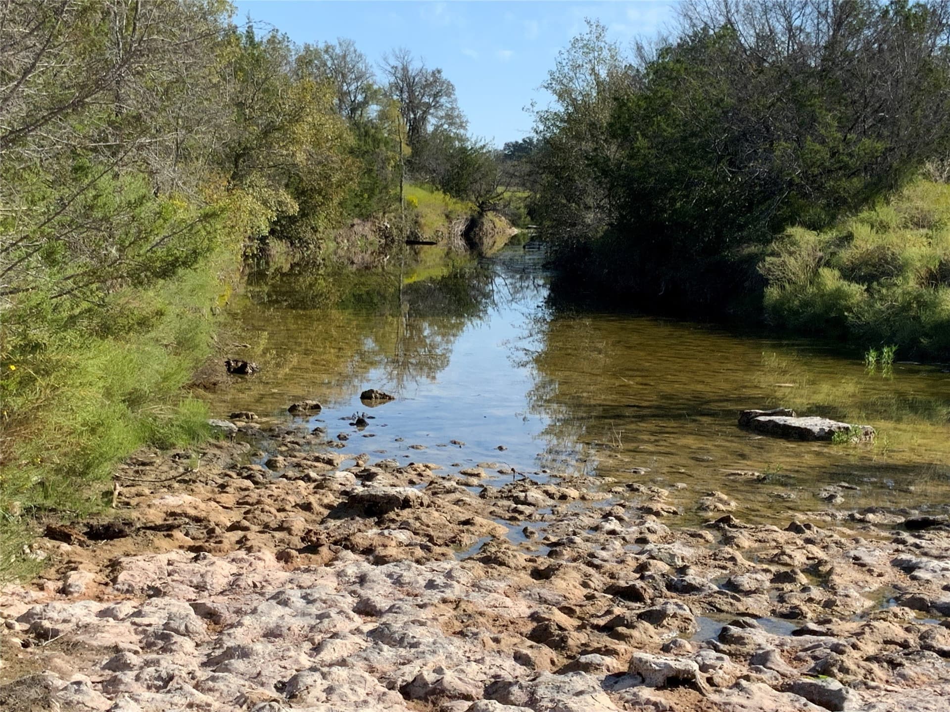 723 acres in Comanche County - photo 20