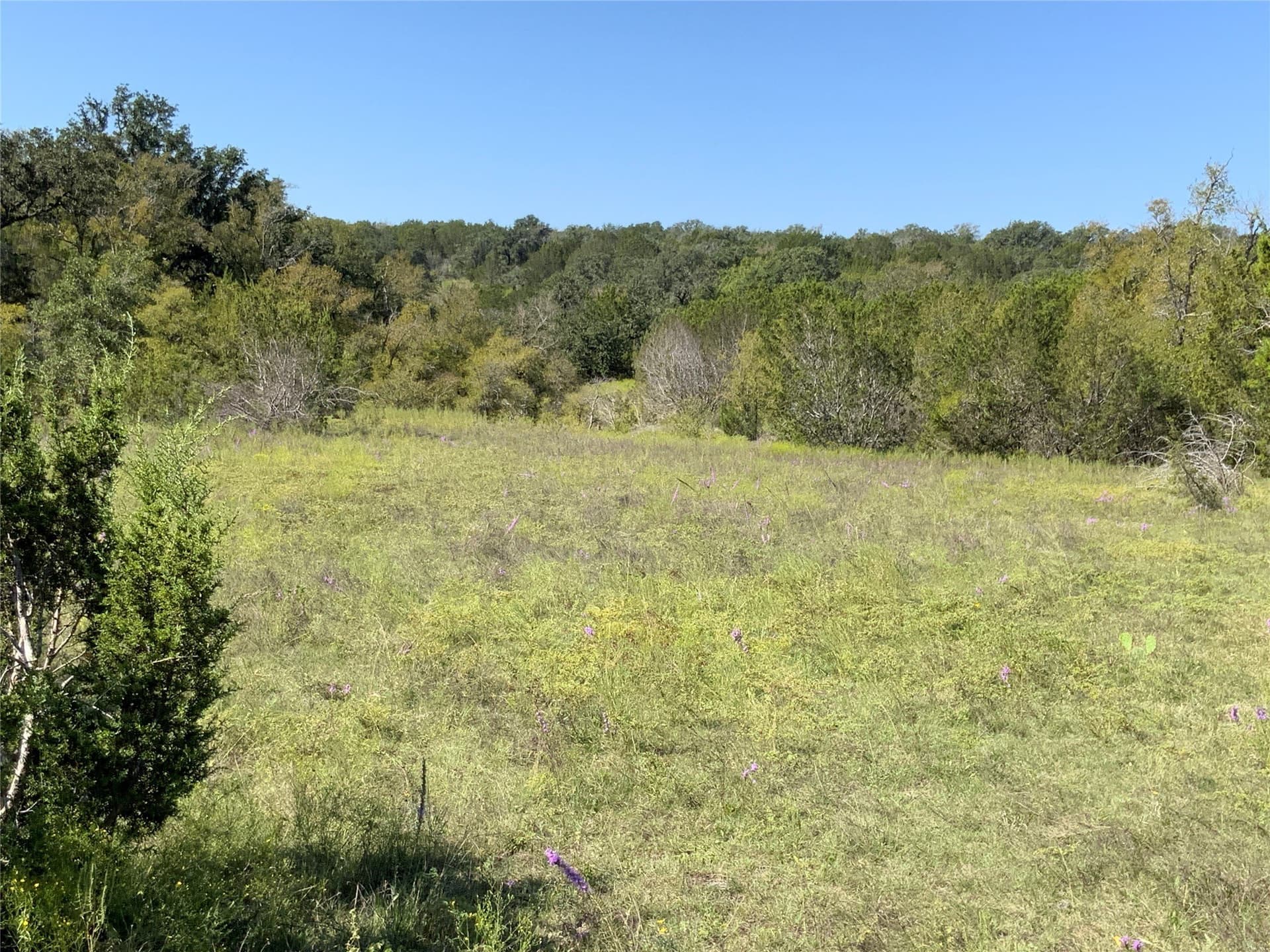 723 acres in Comanche County - photo 26