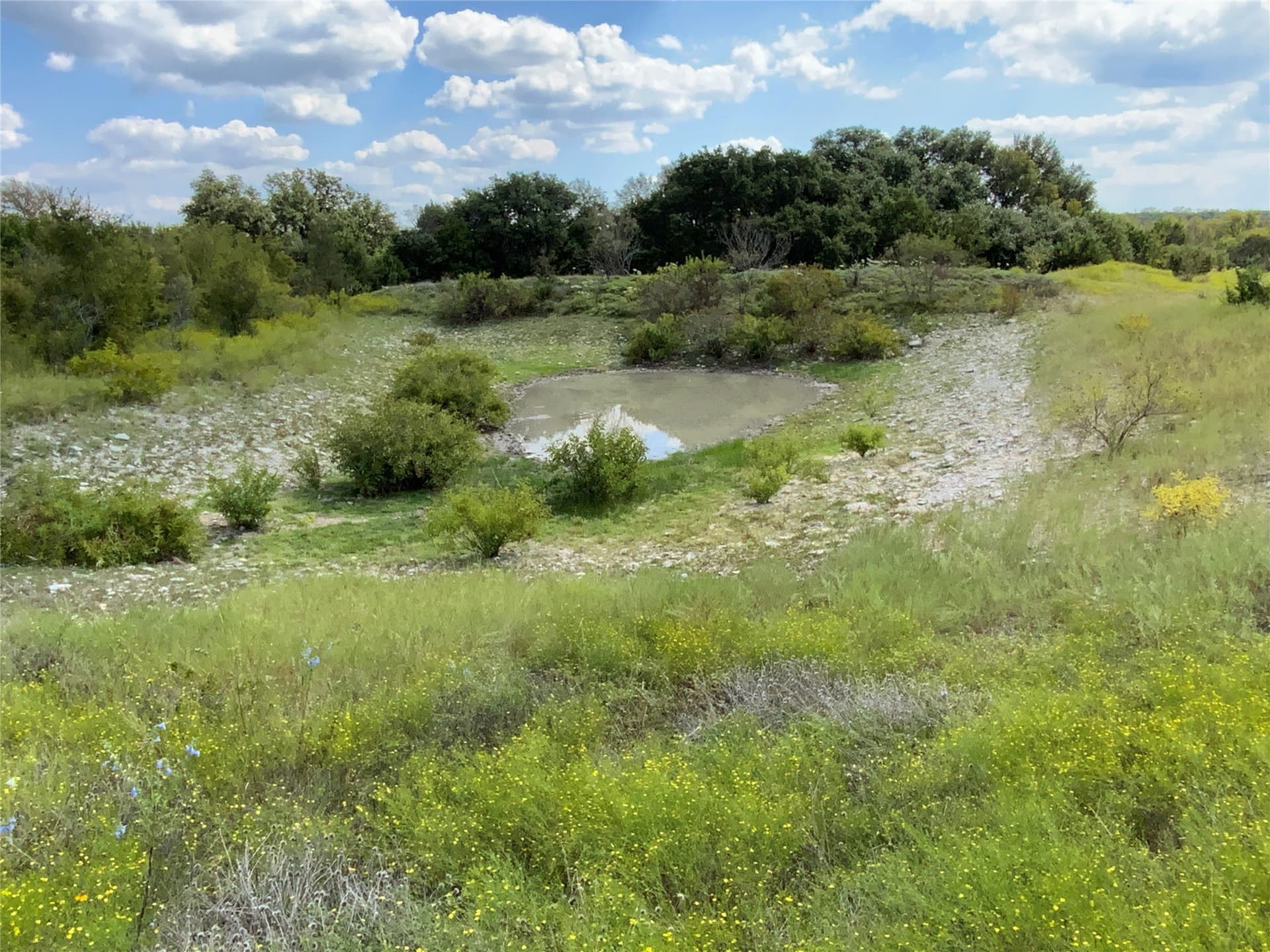 723 acres in Comanche County - photo 31