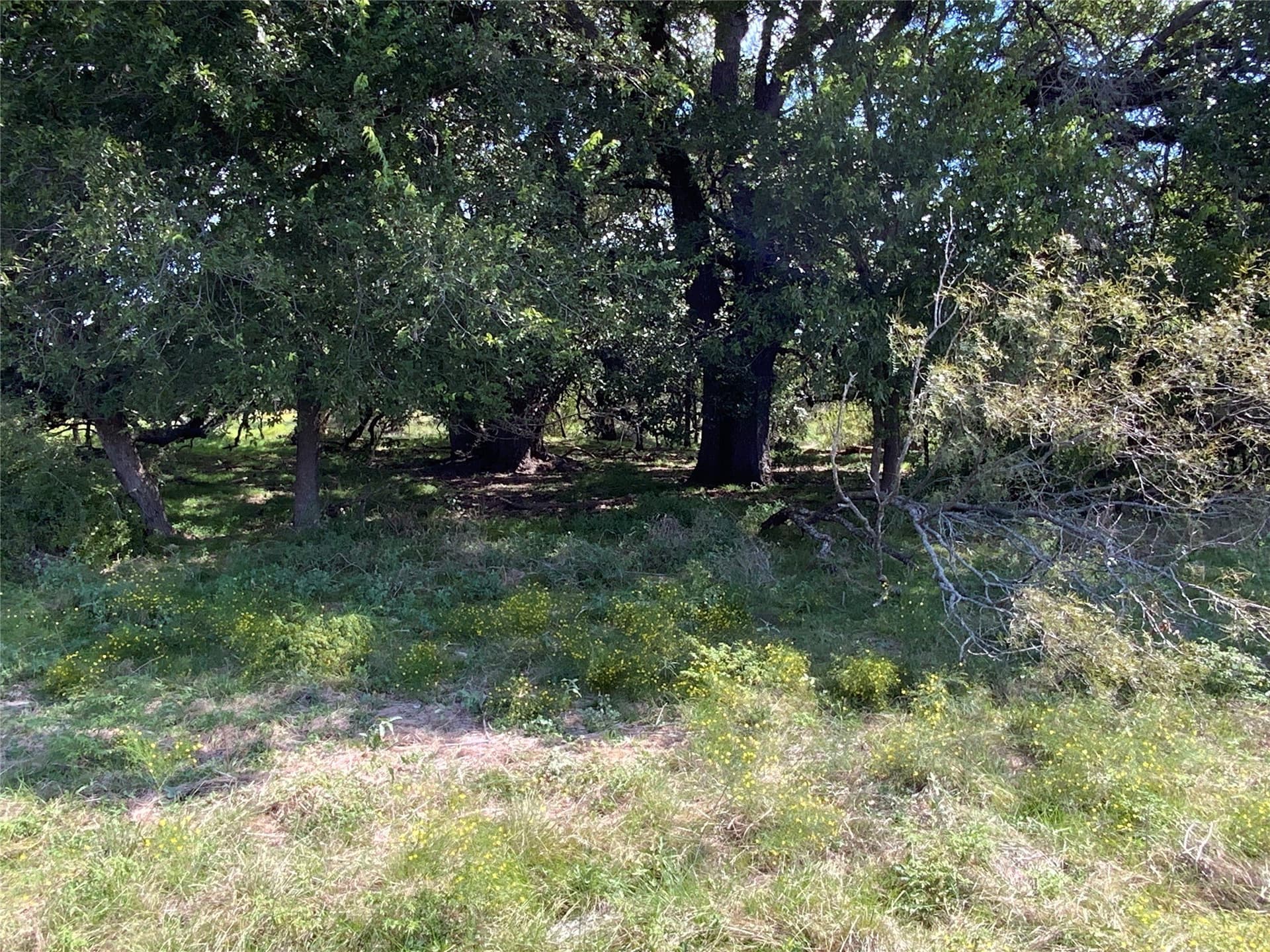 723 acres in Comanche County - photo 32