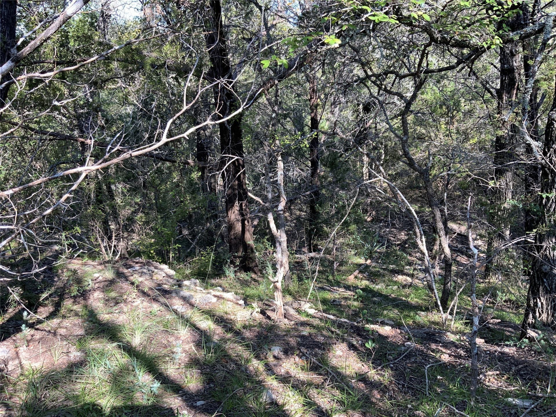 723 acres in Comanche County - photo 28