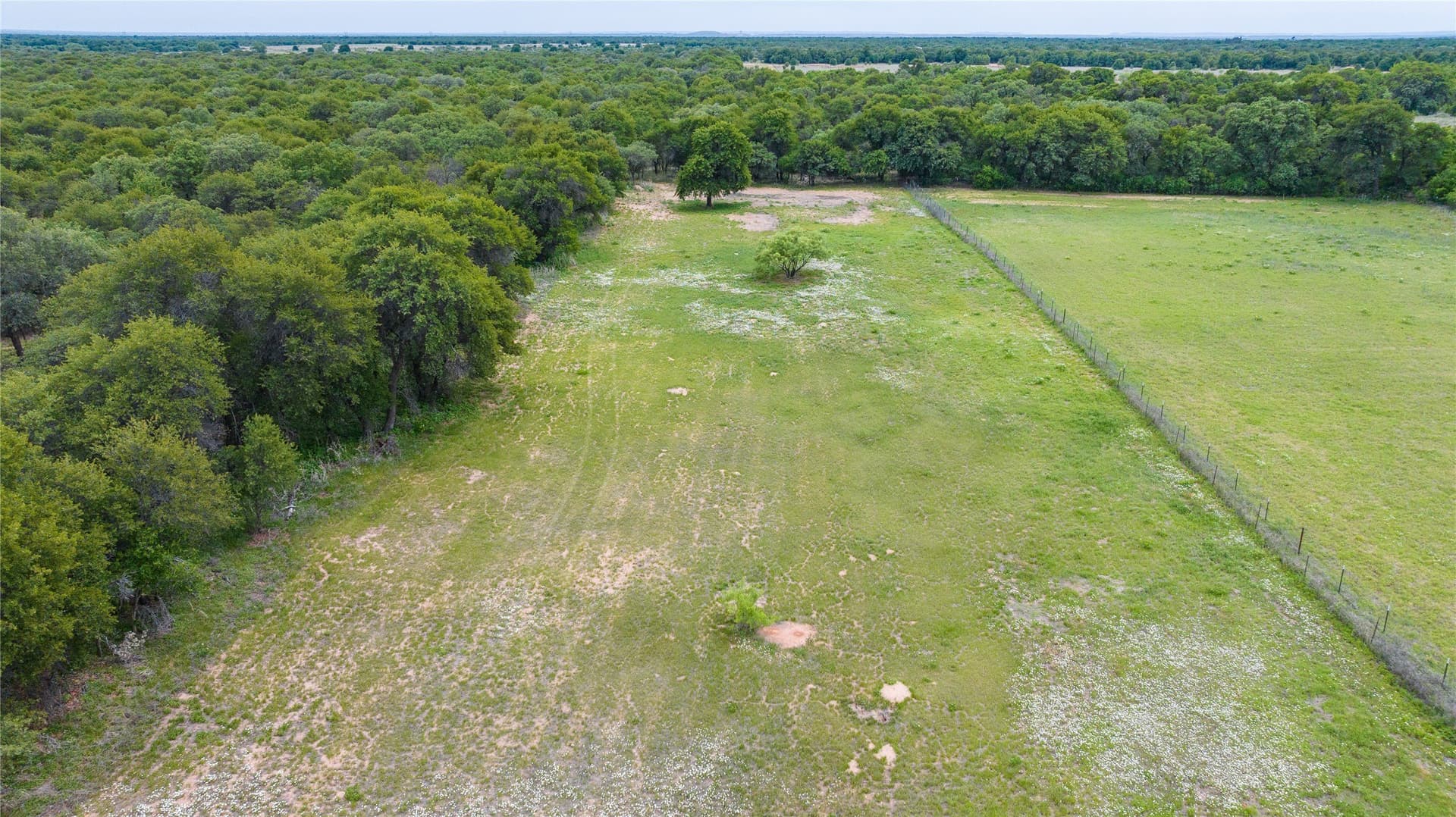 20.73 acres in Jones County gallery image 4