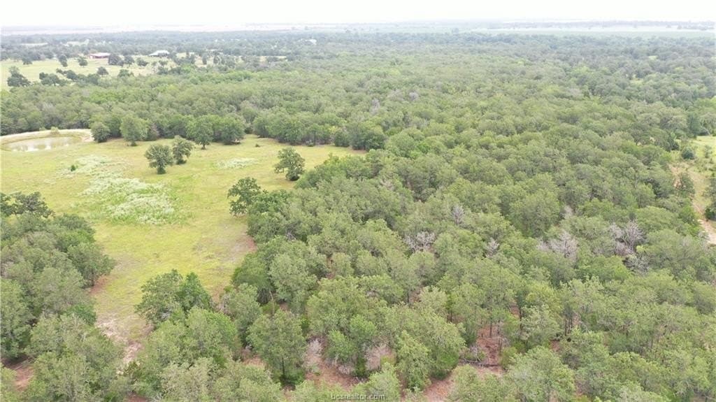 186.79 acres in Milam County - photo 23