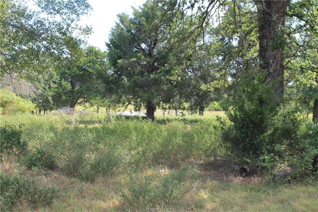 186.79 acres in Milam County - photo 11