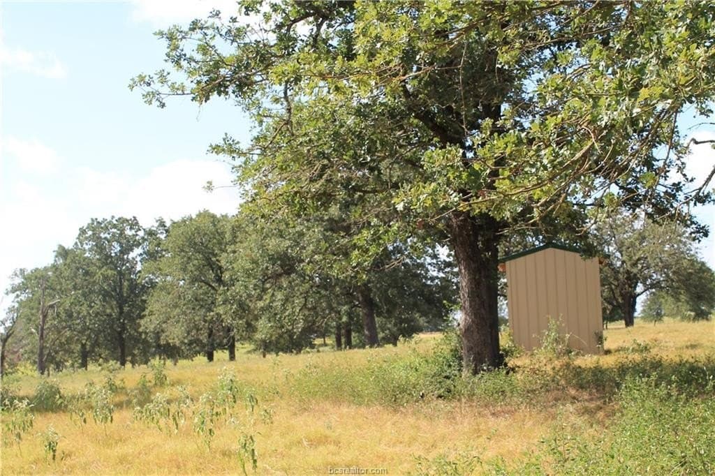 186.79 acres in Milam County - photo 10