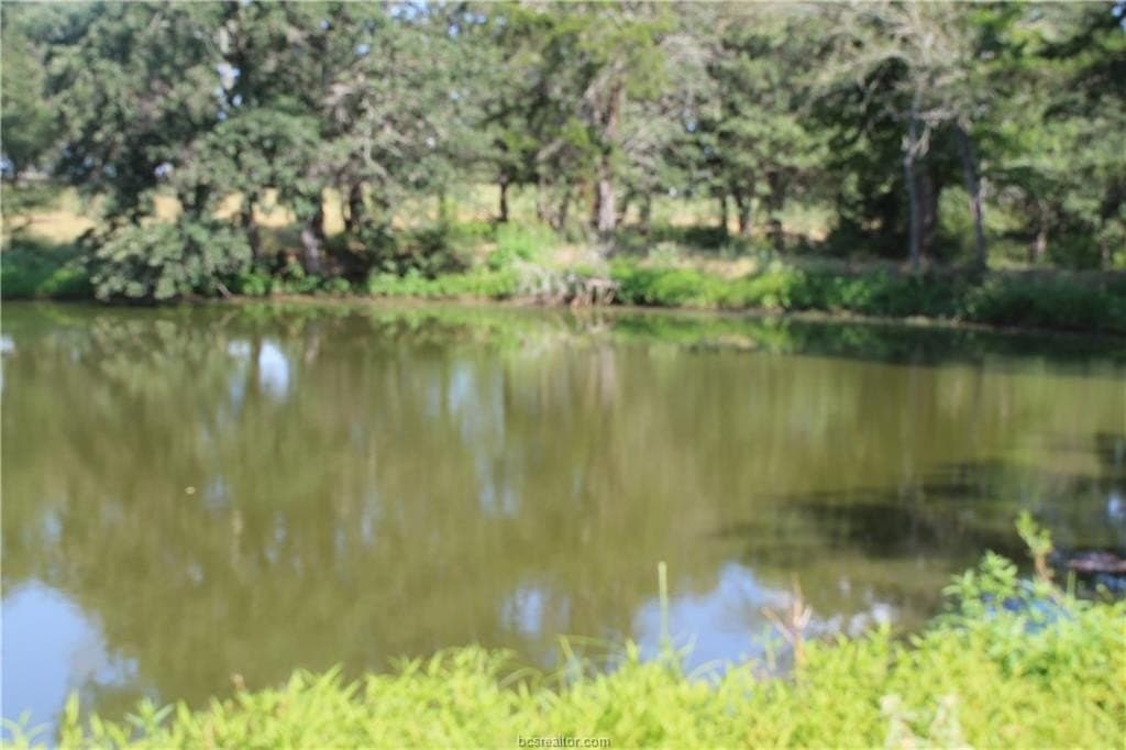 186.79 acres in Milam County - photo 6