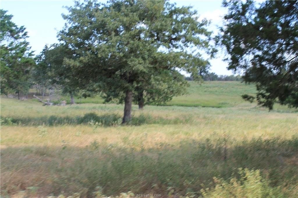 186.79 acres in Milam County - photo 9