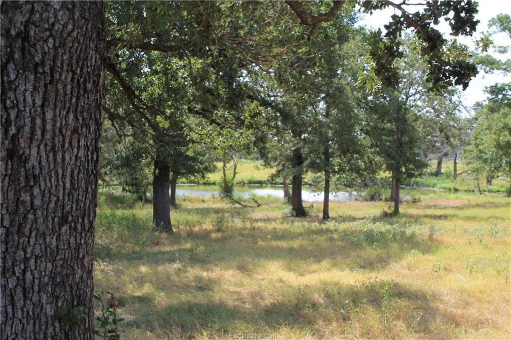 186.79 acres in Milam County - photo 12