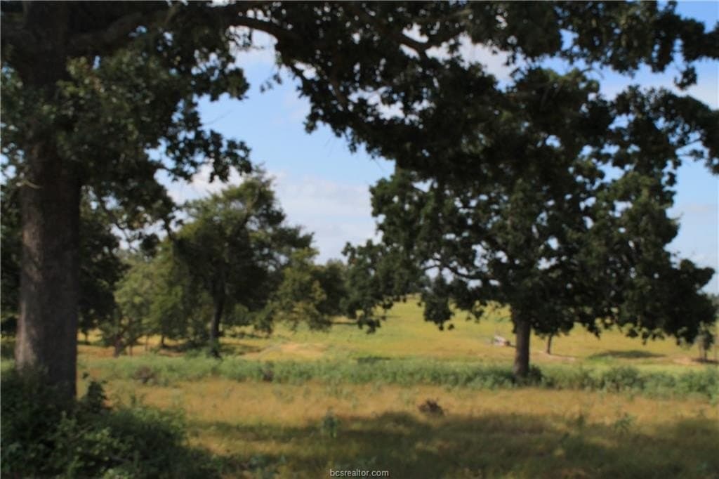 186.79 acres in Milam County - photo 7