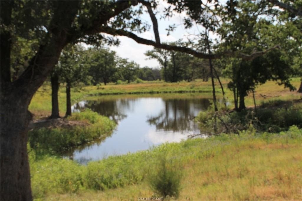 186.79 acres in Milam County - photo 8