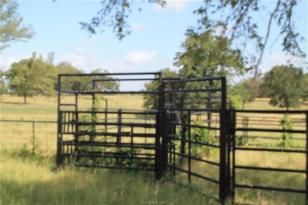 186.79 acres in Milam County - photo 14