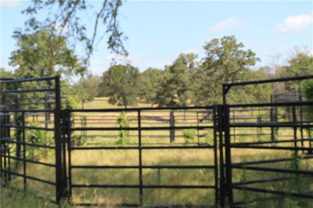186.79 acres in Milam County - photo 13