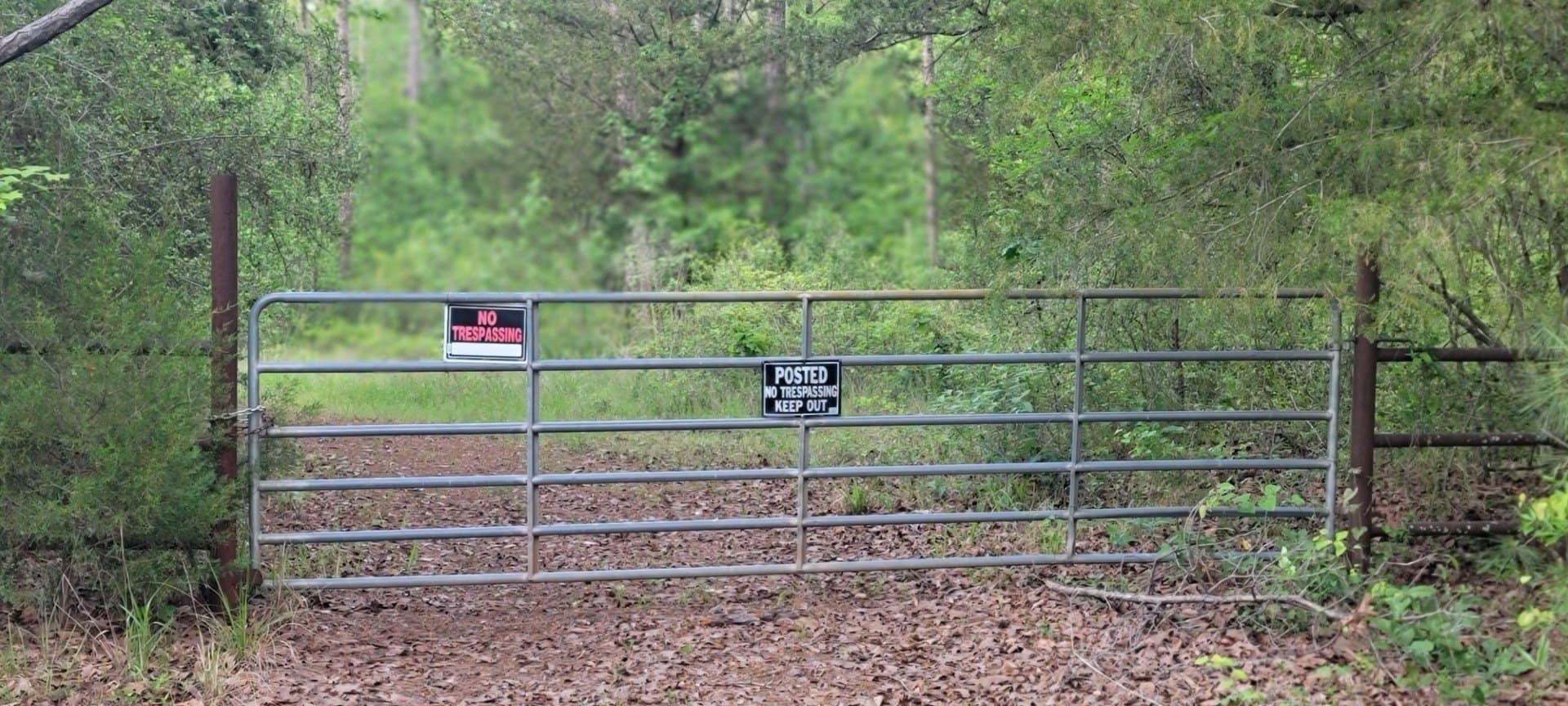 55.26 acres in Panola County - photo 7