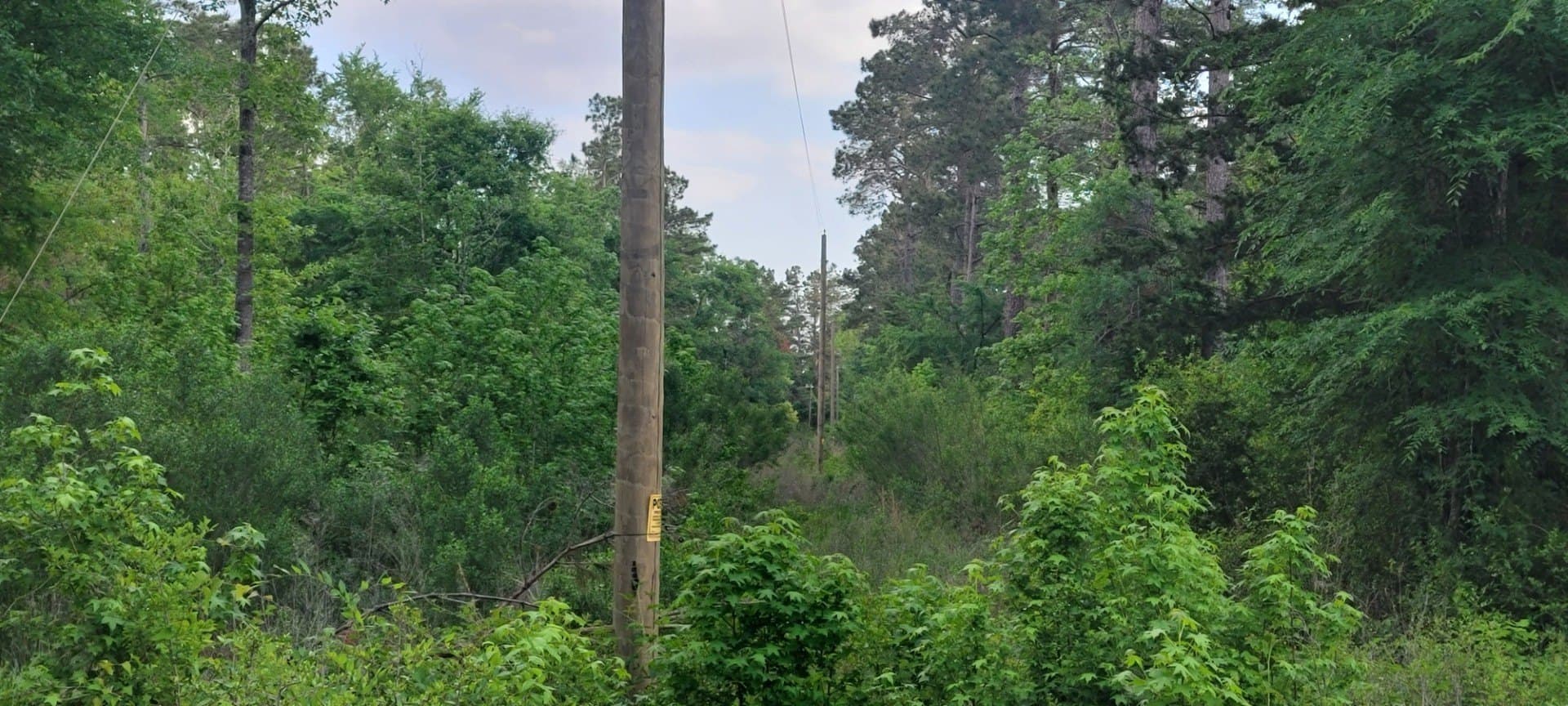 55.26 acres in Panola County - photo 8