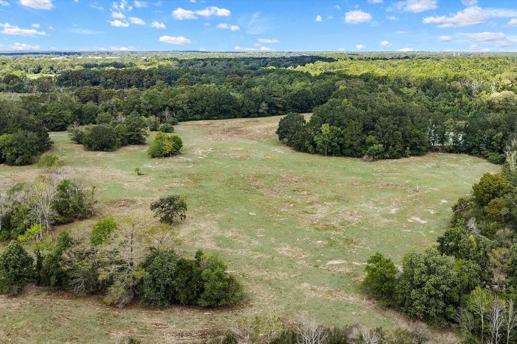 40 acres in Texas County - photo 6