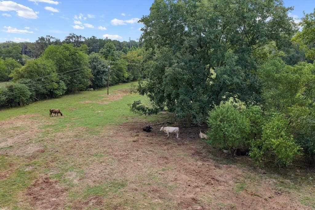 40 acres in Texas County - photo 10