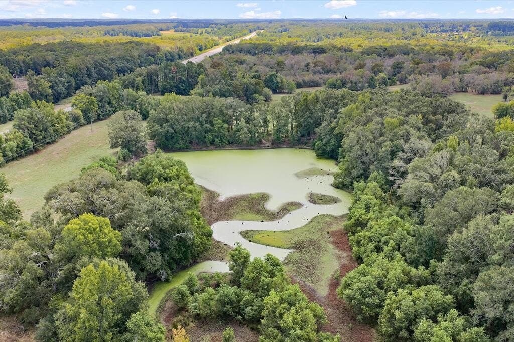 40 acres in Texas County - photo 9