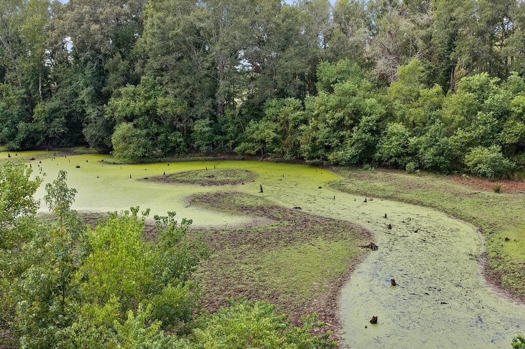 40 acres in Texas County - photo 13