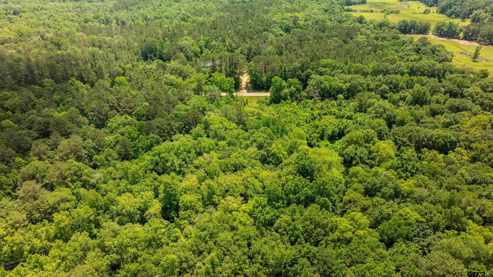 7.9 acres in Anderson County - photo 11