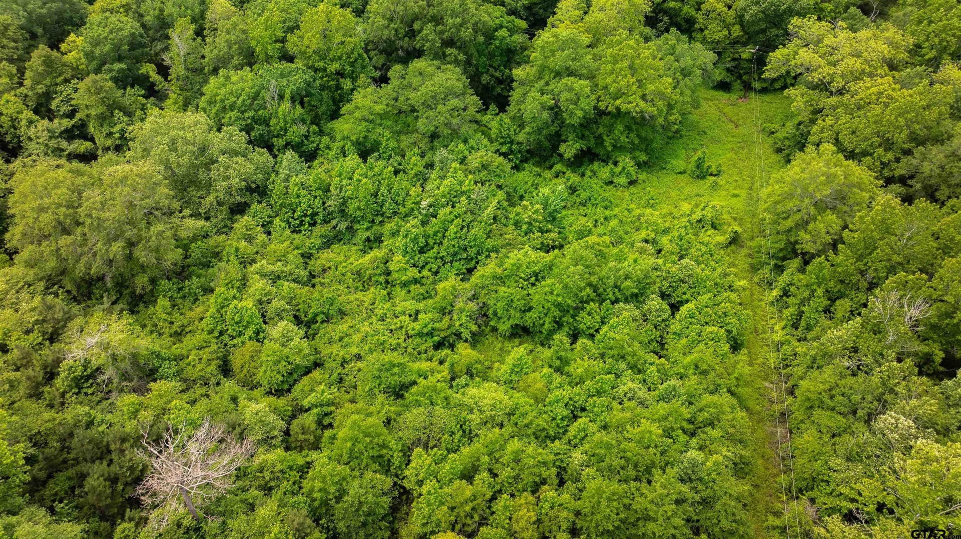 7.9 acres in Anderson County - photo 7