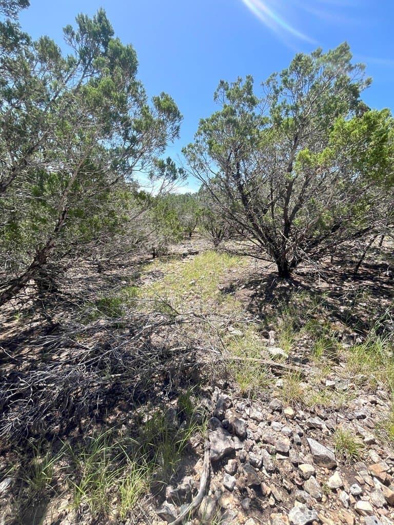 20.14 acres in Real County - photo 21