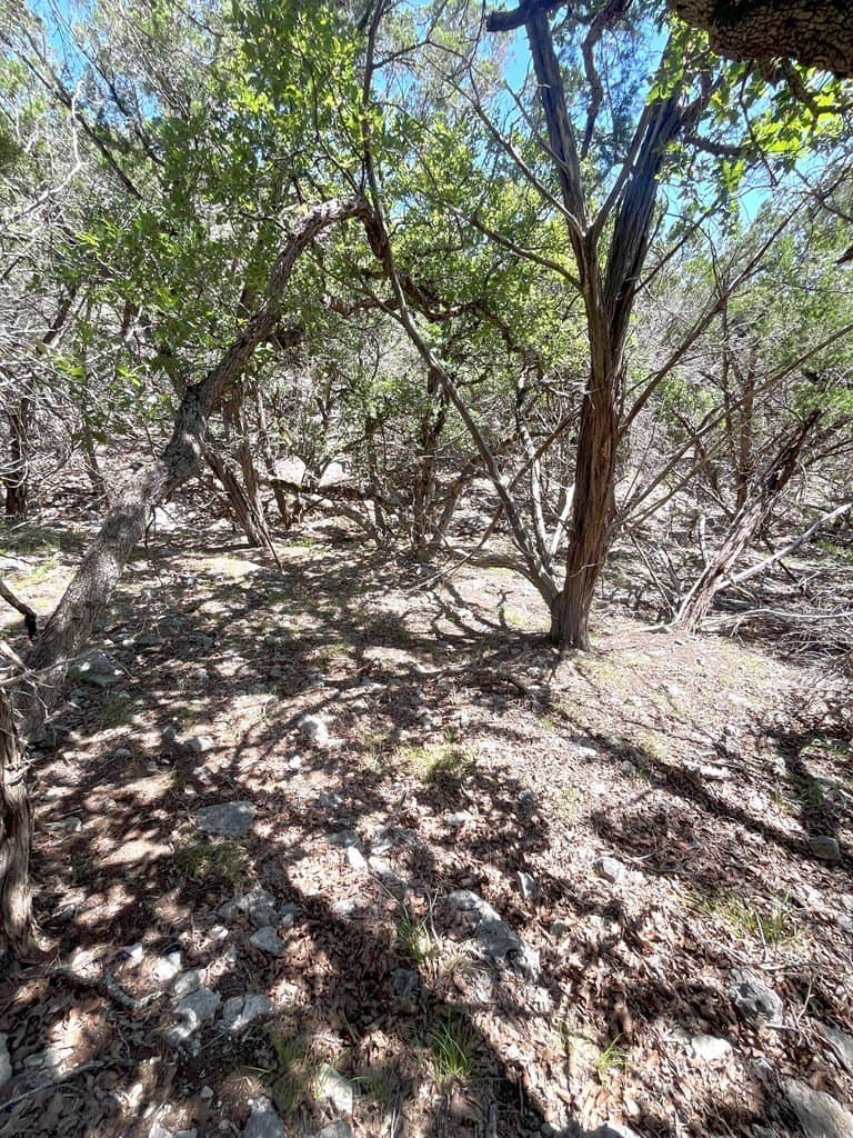 20.14 acres in Real County - photo 32