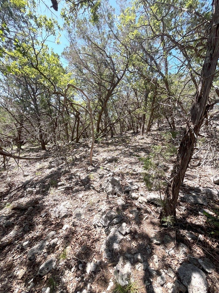 20.14 acres in Real County - photo 31