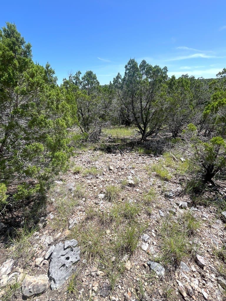 20.14 acres in Real County - photo 20