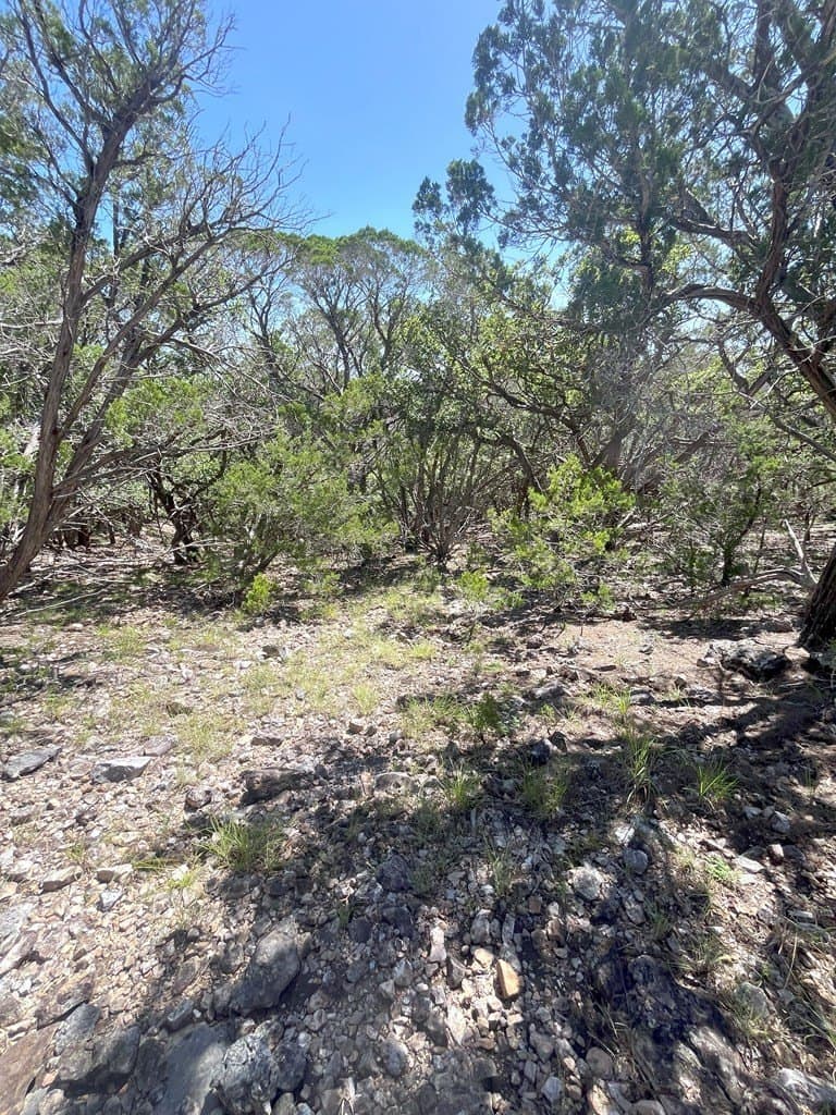 20.14 acres in Real County - photo 24