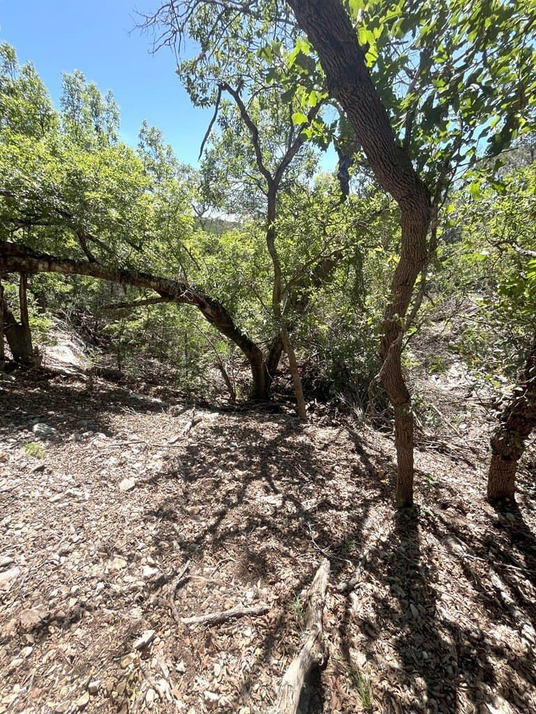 20.14 acres in Real County - photo 27