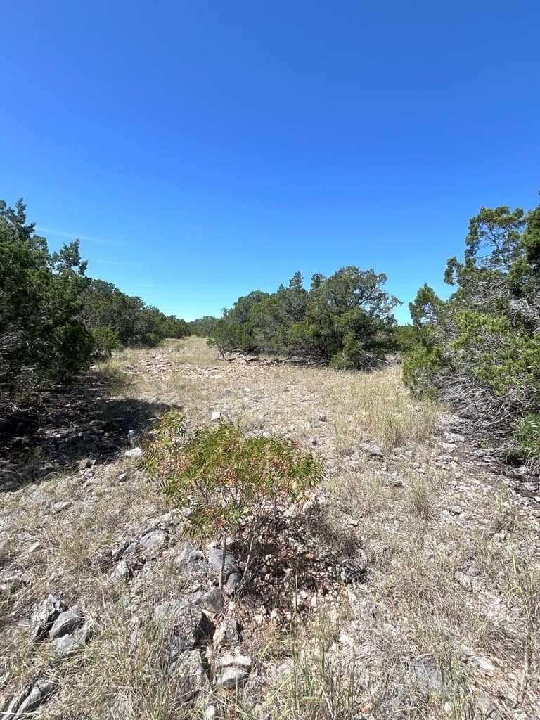 20.14 acres in Real County - photo 7
