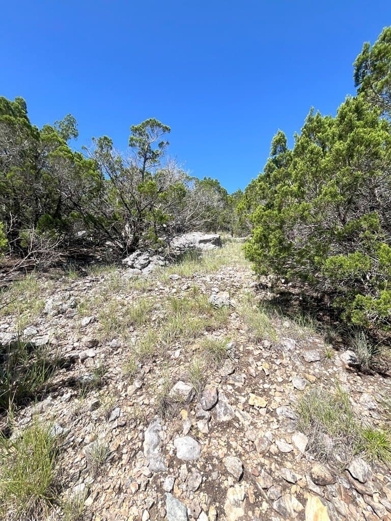 20.14 acres in Real County - photo 22
