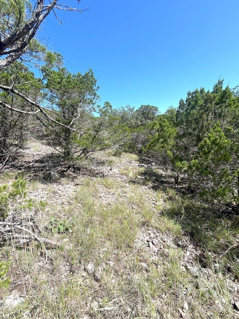 20.14 acres in Real County - photo 23
