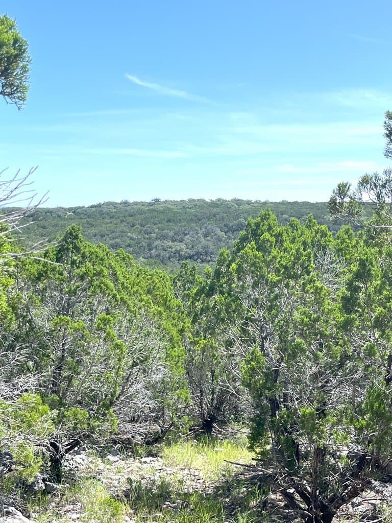 20.14 acres in Real County - photo 17