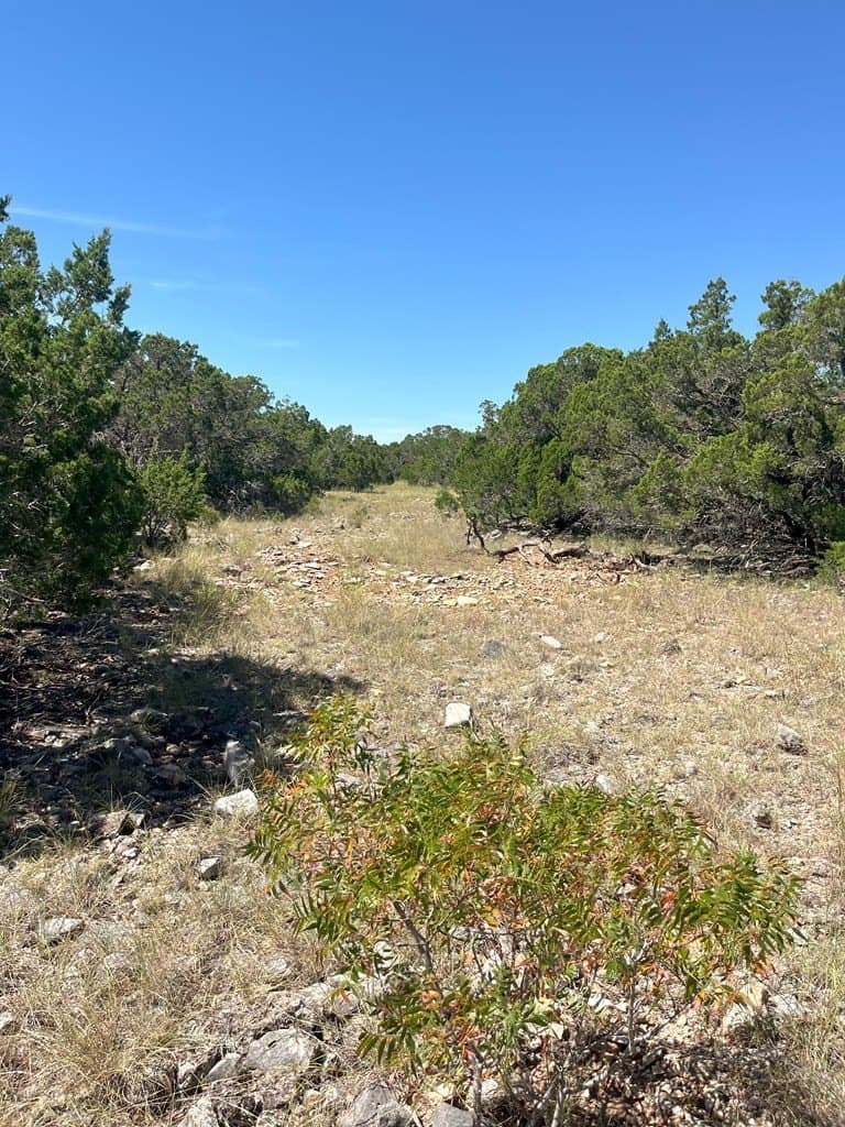 20.14 acres in Real County - photo 6