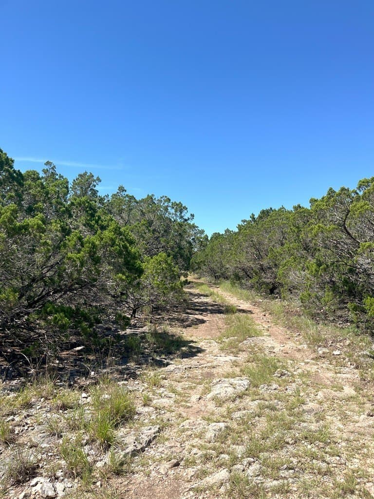 20.14 acres in Real County gallery image 3
