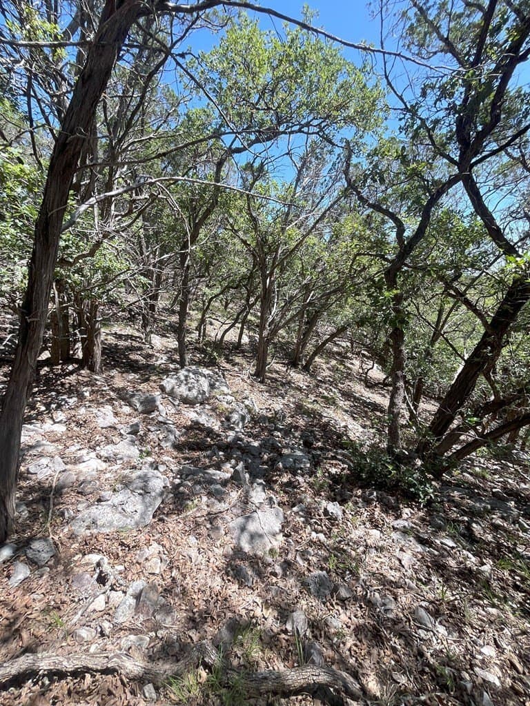 20.14 acres in Real County - photo 25