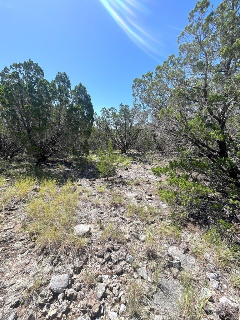 20.14 acres in Real County - photo 8