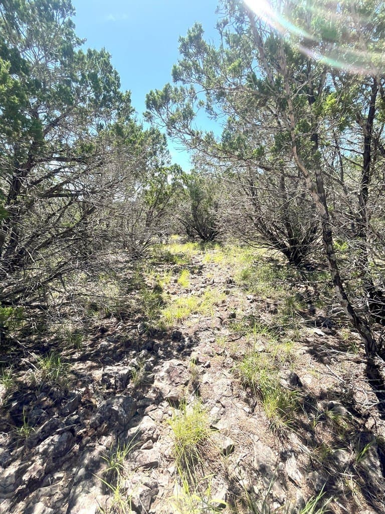 20.14 acres in Real County - photo 15