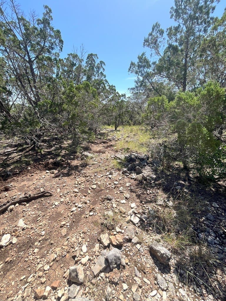 20.14 acres in Real County - photo 12