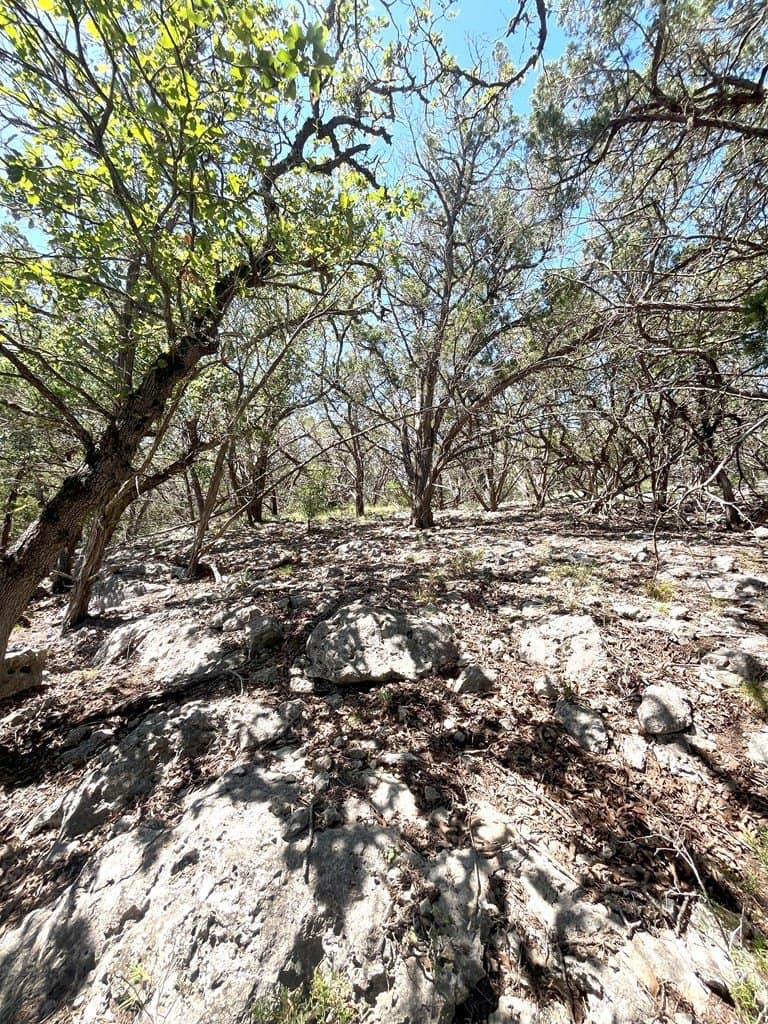 20.14 acres in Real County - photo 30