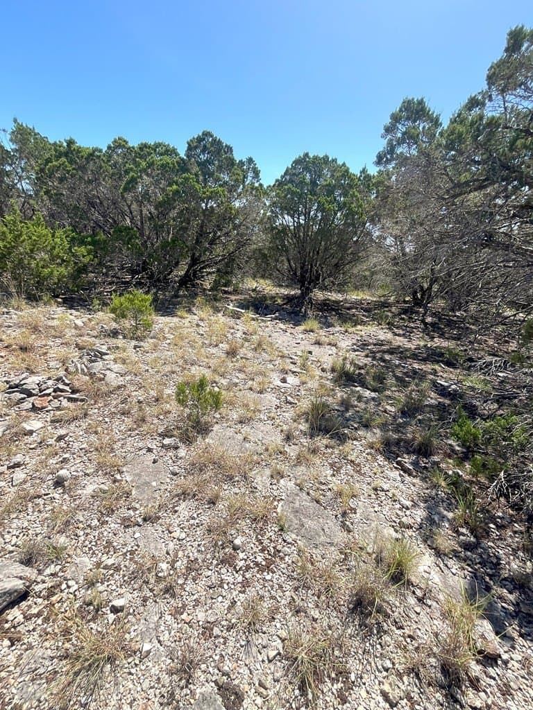 20.14 acres in Real County - photo 11