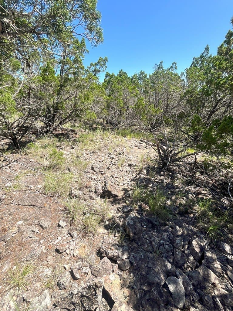 20.14 acres in Real County - photo 14